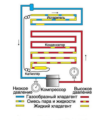 Устройство морозильной камеры